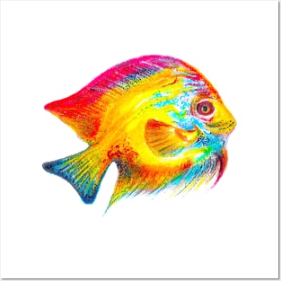 Colorful Roly Poly Fish Posters and Art